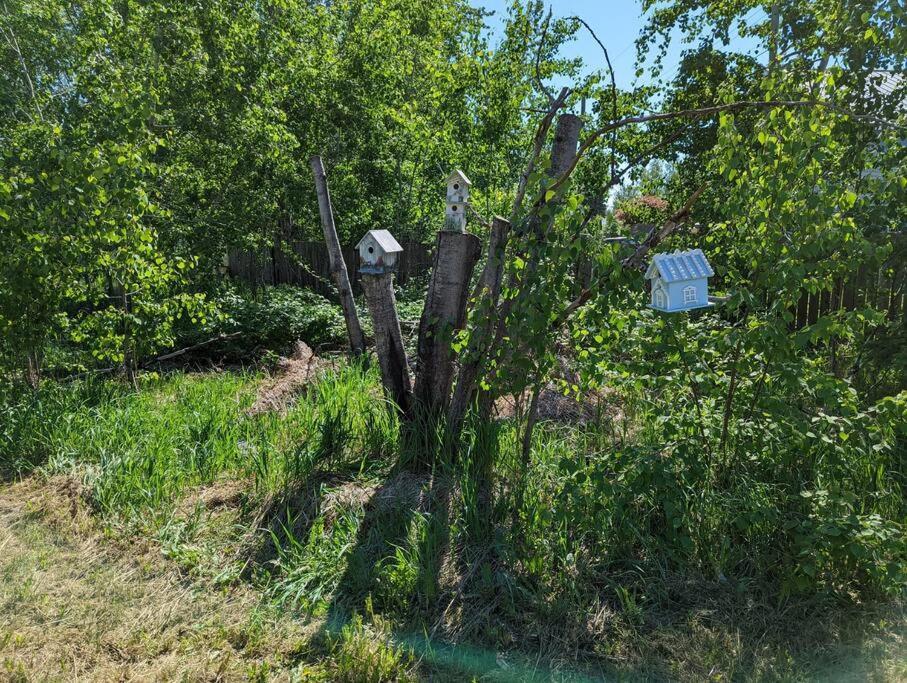 Nunaka Valley Cottage Анкоридж Экстерьер фото